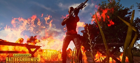 野区路径重 野区路径重